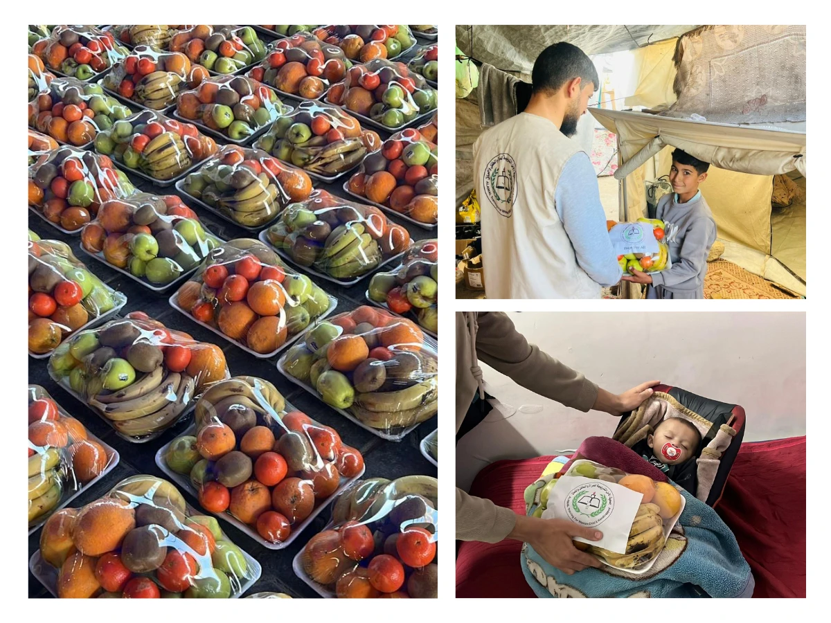 A Taste of Care in Hard Times: Fresh Fruit Baskets Reach Displaced Families in Northern Gaza